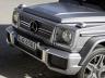 Галерия 22 кадъра. Mercedes-AMG G 65